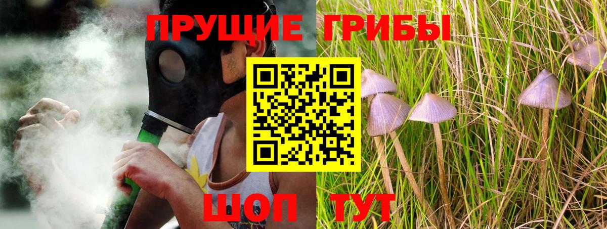 Псилоцибиновые грибы Psilocybine cubensis  Псилоцибиновые грибы прущие грибы  Благодарный  Вход с VPN 