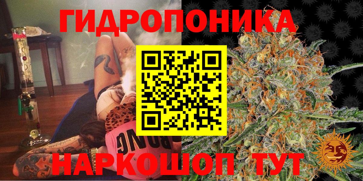Бошки Шишки SATIVA & INDICA  Шишки марихуана гибрид  Благодарный  Вход с VPN  Каннабис MAZAR 